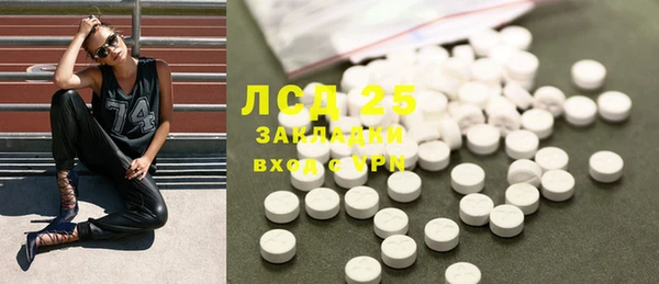 хмурый Арсеньев