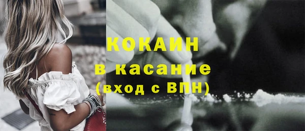 хмурый Арсеньев