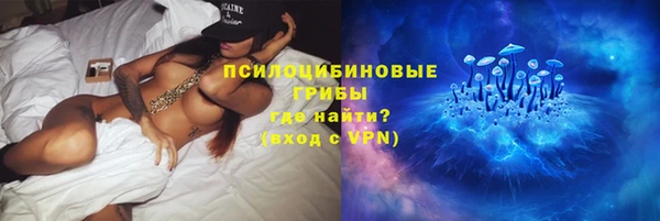 хмурый Арсеньев
