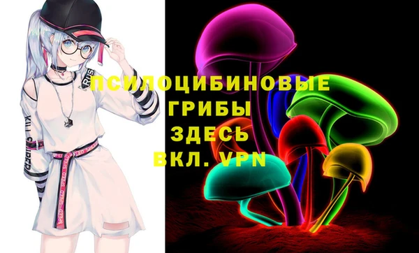 хмурый Арсеньев